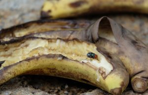 rozgnieciony banan