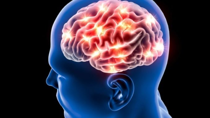 06-brain-Secrets-Your-Brain-Wishes-You-Knew_305175476-Naeblys-760x506